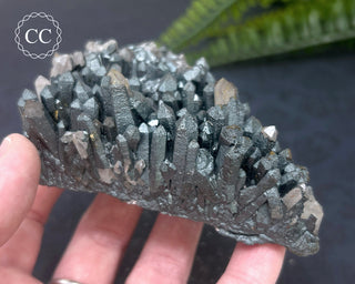 Goethite 'Turgite' on Quartz #4