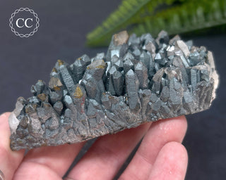 Goethite 'Turgite' on Quartz #4