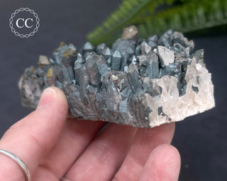 Goethite 'Turgite' on Quartz #4