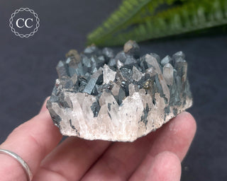 Goethite 'Turgite' on Quartz #4