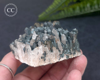 Goethite 'Turgite' on Quartz #4