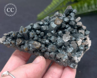 Goethite 'Turgite' on Quartz #4