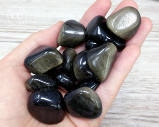Gold Sheen Obsidian Tumbled Crystals in hand