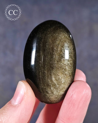 A hand holding a Gold Sheen Palmstone from Madagascar