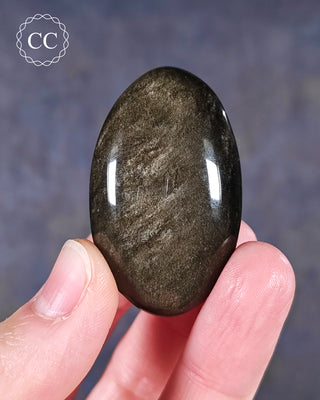 A hand holding a Gold Sheen Chunky  Palmstone from Mexico