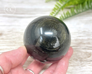 Gold Sheen Obsidian Sphere #1