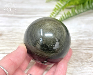 Gold Sheen Obsidian Sphere #1