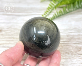 Gold Sheen Obsidian Sphere #2