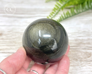Gold Sheen Obsidian Sphere #2