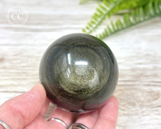 Gold Sheen Obsidian Sphere #2
