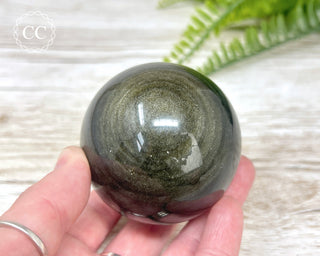 Gold Sheen Obsidian Sphere #2