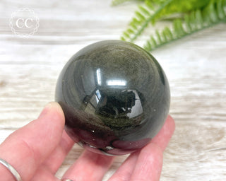 Gold Sheen Obsidian Sphere #1