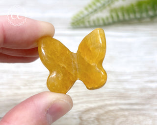 Golden Healer Butterfly