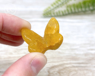 Golden Healer Butterfly