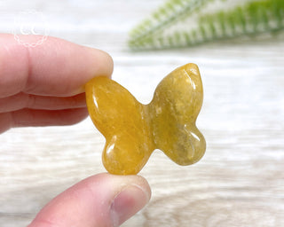 Golden Healer Butterfly