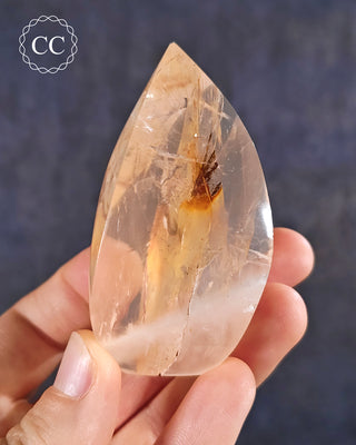 A hand holding a Golden Healer Flame from Brazil