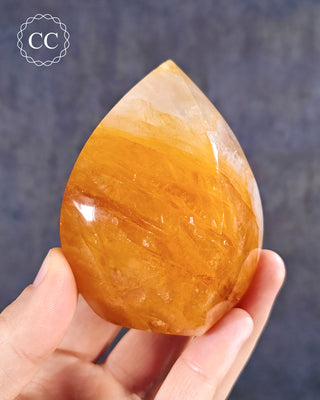 A hand holding a Golden Healer Flame from Brazil