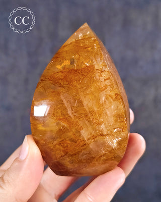 A hand holding a Golden Healer Flame from Brazil
