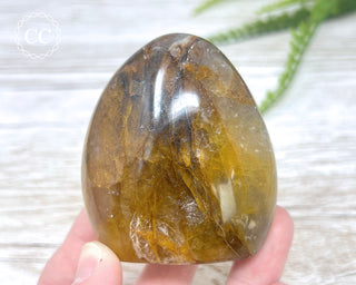 Golden Healer Freeform #4