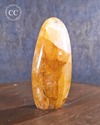 Golden Healer Freeform #3