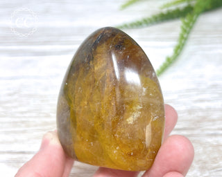 Golden Healer Freeform #4