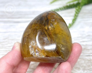 Golden Healer Freeform #4