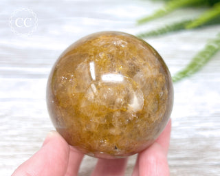 Golden Healer Sphere #4