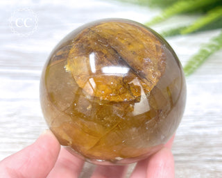 Golden Healer Sphere #5