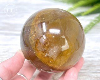 Golden Healer Sphere #5