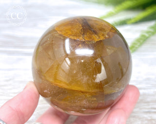 Golden Healer Sphere #5