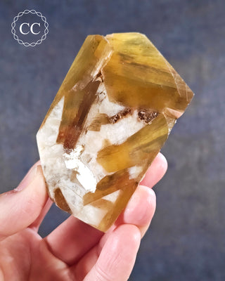 A hand holding a Golden Mica Freeform 