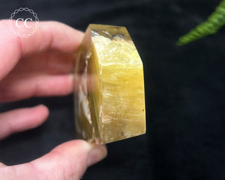 Golden Mica Freeform #3