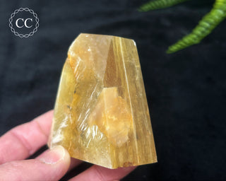 Golden Mica Freeform #4
