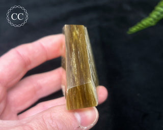 Golden Mica Freeform #5