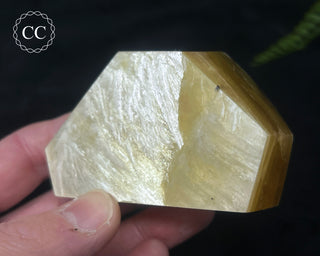 Golden Mica Freeform #5