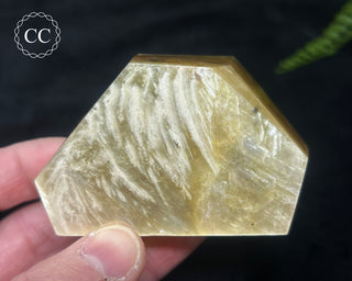 Golden Mica Freeform #5