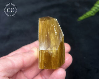 Golden Mica Freeform #5