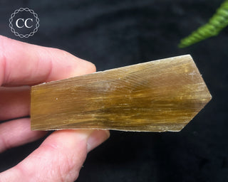 Golden Mica Freeform #5