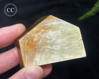 Golden Mica Freeform #6