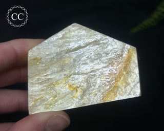 Golden Mica Freeform #6
