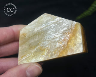 Golden Mica Freeform #6