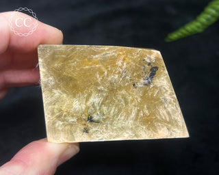 Golden Mica Freeform #7