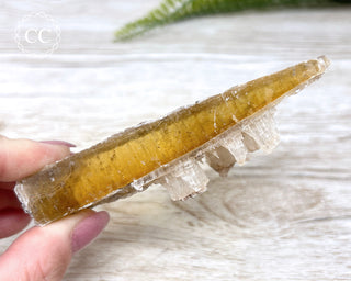 Golden Selenite - Arizona #8