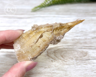 Golden Selenite - Arizona #9