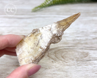 Golden Selenite - Arizona #9