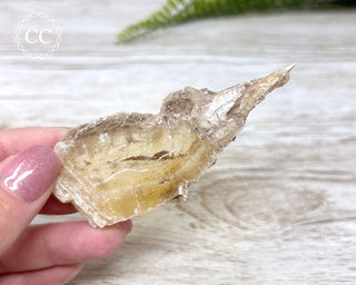 Golden Selenite - Arizona #9