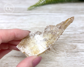 Golden Selenite - Arizona #9