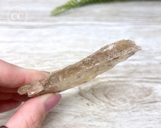 Golden Selenite - Arizona #10
