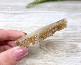 Golden Selenite - Arizona #10