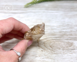 Golden Selenite - Arizona #10